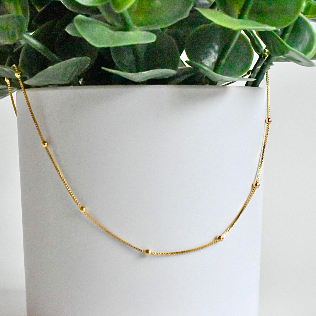 Gabby Satellite Chain Necklace - Gold Filled